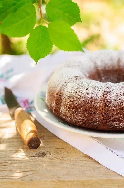 Сельский стиль Bundt торт посыпанный сахарной глазури — стоковое фото