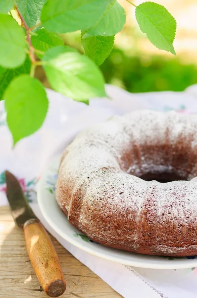 Bolo de pacote de estilo rústico polvilhado com açúcar gelado — Fotografia de Stock