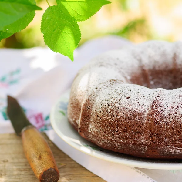 Rusztikus stílusú Kuglóf tortát hinteni a porcukrot — Stock Fotó