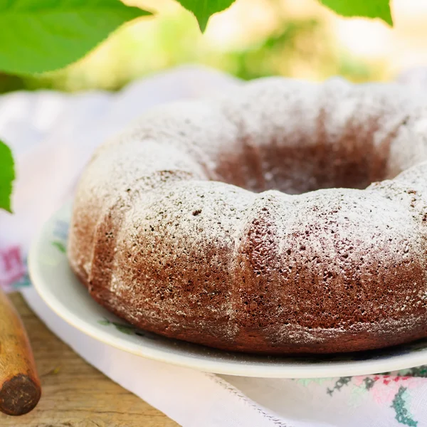 Сільському стилі Bundt торт посипати цукрової пудри — стокове фото