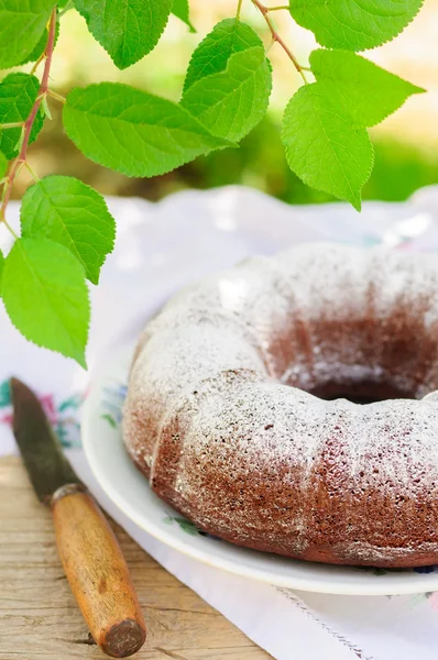 Rustic Style Bundt Cake Sprinkled with Icing Sugar — Stock Photo, Image