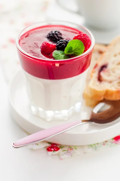 Greek Yogurt with Berry Sauce and Slices of Sweet Bread — Stock Photo, Image