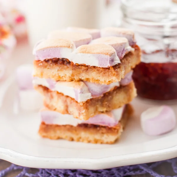 Marshmallow Jam Slice — Fotografie, imagine de stoc