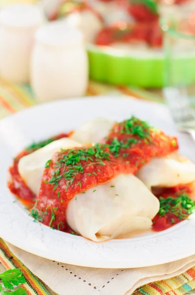 Domates sosu ve dereotu ile lahana rulo — Stok fotoğraf