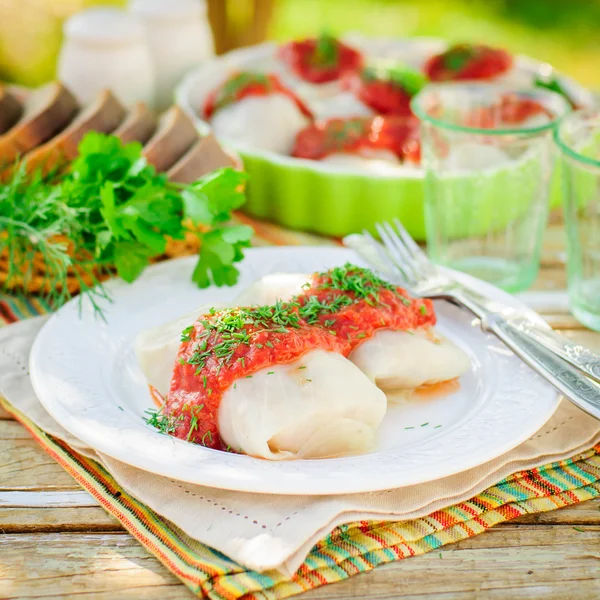 Капустные роллы с томатным соусом и укропом — стоковое фото