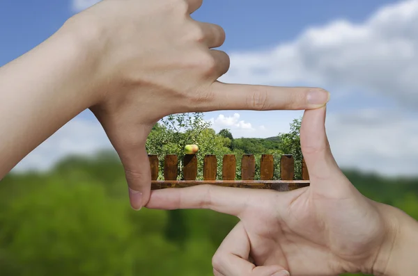 Visão de uma cerca de piquete com maçã — Fotografia de Stock