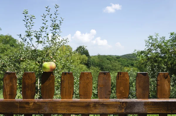 Забор для пикета с яблоком — стоковое фото