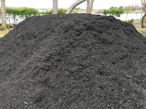 Black Mulch Home Garden Backyard Obrazek Stockowy