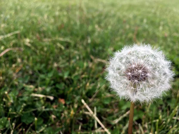 Çiftlikte hava bulutlu.