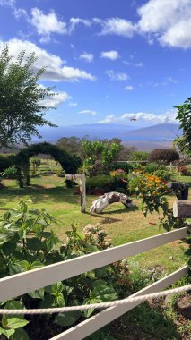 Güzel deniz manzarası