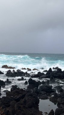 Deniz kıyısının güzel manzarası