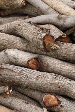 Günlük kaydının resim yığını.