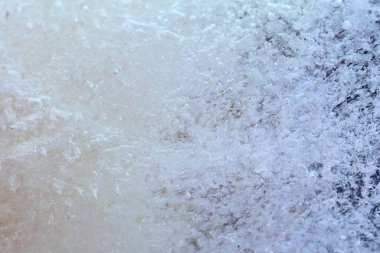 Kurumuş çiçek ve yaprakların soyut resmi buzun içinde donmuştu..