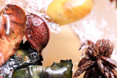 Kurumuş çiçek ve yaprakların soyut resmi buzun içinde donmuştu..