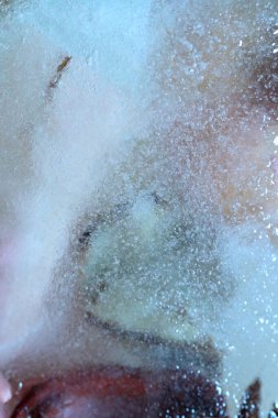 Kurumuş çiçek ve yaprakların soyut resmi buzun içinde donmuştu..