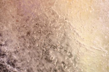 Kurumuş çiçek ve yaprakların soyut resmi buzun içinde donmuştu..