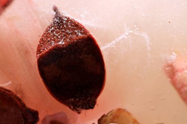 Kurumuş çiçek ve yaprakların soyut resmi buzun içinde donmuştu..