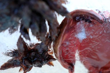 Kurumuş çiçek ve yaprakların soyut resmi buzun içinde donmuştu..