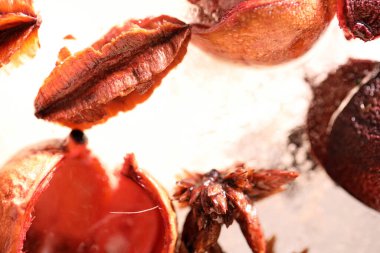 Kurumuş çiçek ve yaprakların soyut resmi buzun içinde donmuştu..