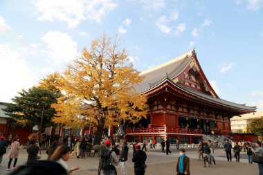 Tokyo, Japonya - 3 Aralık 2016: Tokyo, Japonya 'nın ünlü tarihi Sensoji Tapınağı.
