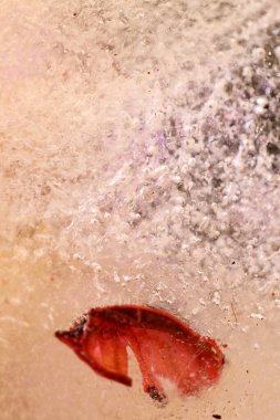 Kurumuş çiçek ve yaprakların soyut resmi buzun içinde donmuştu..