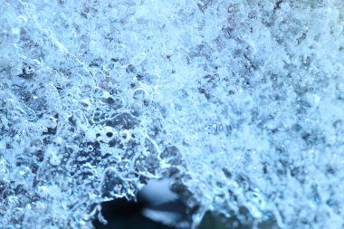 Kurumuş çiçek ve yaprakların soyut resmi buzun içinde donmuştu..