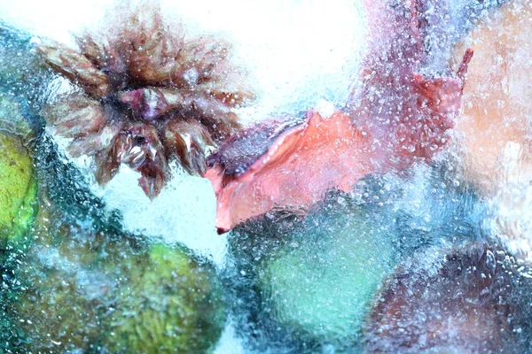 Das Abstrakte Bild Von Getrockneten Blumen Und Blättern War Eis — Stockfoto