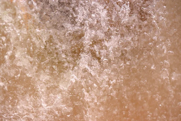 Абстрактная Картина Сушеных Цветов Листьев Заморожена Льду — стоковое фото