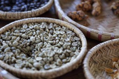 Kahve çekirdeği birçok durumda misk kahvesi üretim metodunu göstermek için.