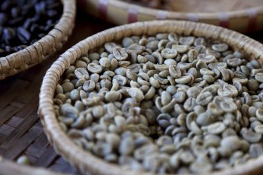 Kahve çekirdeği birçok durumda misk kahvesi üretim metodunu göstermek için.