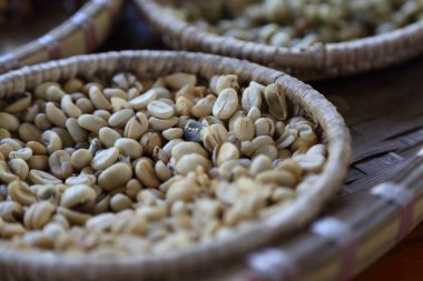 Kahve çekirdeği birçok durumda misk kahvesi üretim metodunu göstermek için.