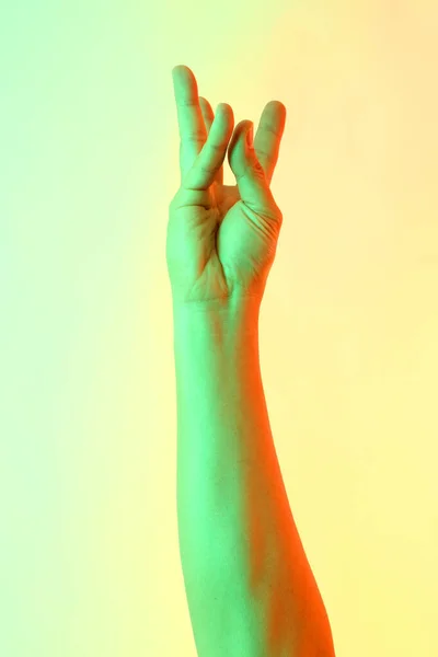 The Human hands posing on the white background.