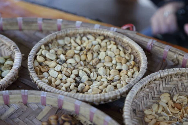 Kaffebönan Många Situationer För Att Visa Metoden För Civet Kaffeproduktion — Stockfoto