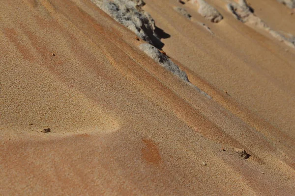 Phan Tiet Mui Vietnam Fairy Stream Canyon Die Schöne Landschaft — Stockfoto