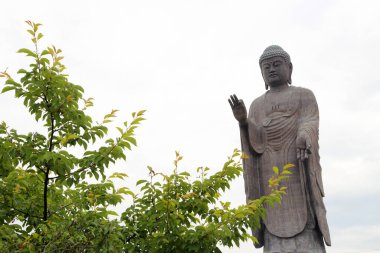 Ushiku, Japonya - 28 Mayıs 2019: Büyük Buda Ushiku Daibutsu heykeli Japonya 'nın Ibaraki iline yerleştirildi..