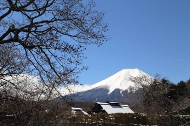 Japonya, Oshino Hakkai 'den Fuji Dağı manzarası.