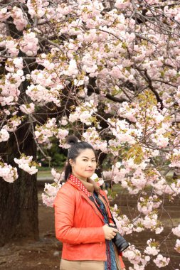 Sakura ağacıyla poz veren Asyalı kadın..