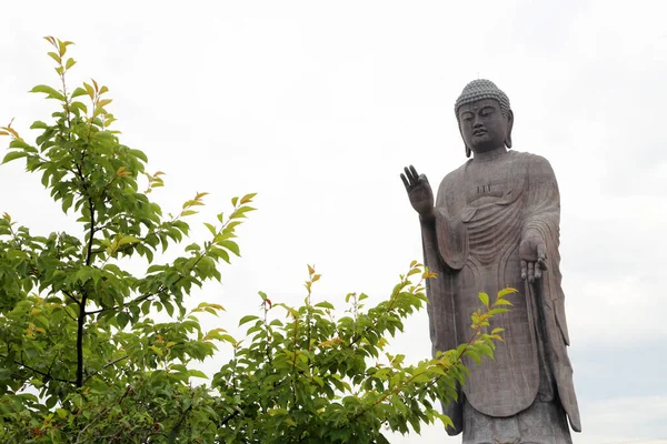 Ushiku Japonya Mayıs 2019 Büyük Buda Ushiku Daibutsu Heykeli Japonya — Stok fotoğraf