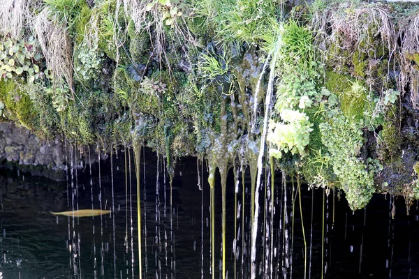 Etwas Wasser Fällt Aus Dem Garten Den Teich — Stockfoto
