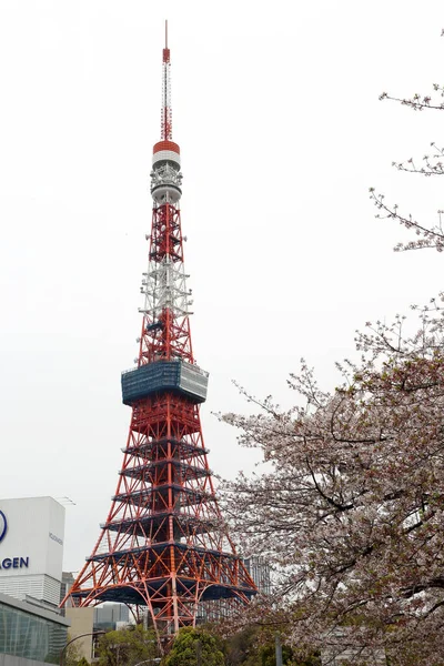 Tokio Japonia Kwietnia 2019 Wieża Tokio Japonia — Zdjęcie stockowe