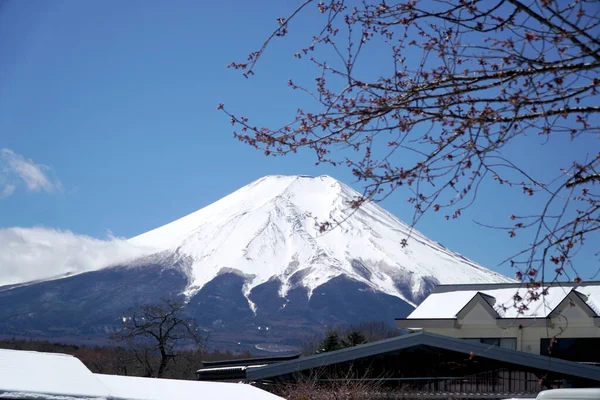 Vista Montaña Fuji Desde Oshino Hakkai Japón —  Fotos de Stock