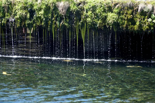 Etwas Wasser Fällt Aus Dem Garten Den Teich — Stockfoto