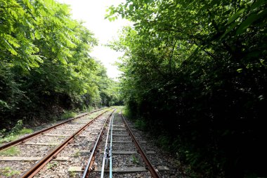 Güney Kore 'deki tren yolu..