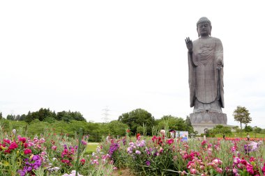 Ushiku, Japonya - 28 Mayıs 2019: Büyük Buda Ushiku Daibutsu heykeli Japonya 'nın Ibaraki iline yerleştirildi..