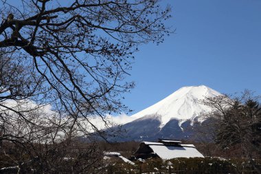 Japonya, Oshino Hakkai 'den Fuji Dağı manzarası.