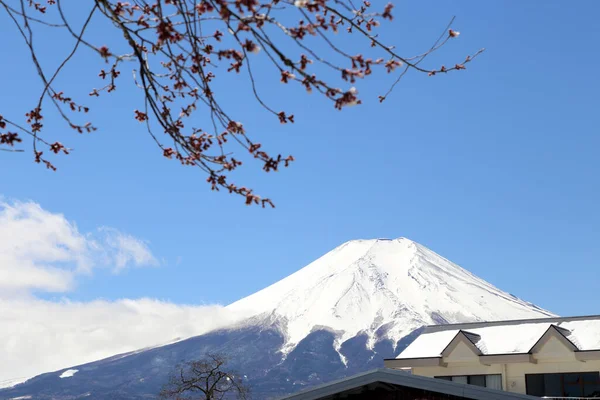 Kilátás Fuji Hegy Oshino Hakkai Japán — Stock Fotó