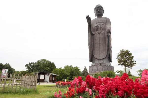 Ushiku, Japonya - 28 Mayıs 2019: Büyük Buda Ushiku Daibutsu heykeli Japonya 'nın Ibaraki iline yerleştirildi..