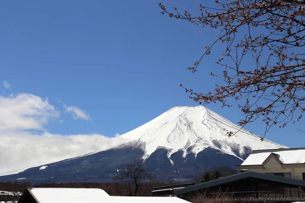 Kilátás Fuji Hegy Oshino Hakkai Japán — Stock Fotó