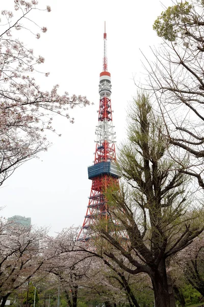 Tokyo Giappone Aprile 2019 Tokyo Tower Punto Riferimento Del Giappone — Foto Stock