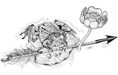 Kurbağa prenses. Amfibi bir nilüfer yaprağına oturur ve elinde bir ok tutar. Rus peri masalı. El çizimi mürekkep çizimi beyaza siyah renkte. Tişört izi, dotwork tarzında dövme tasarımı.